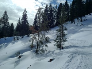 2017-02-27 11-34-10 OBERSTAUFEN