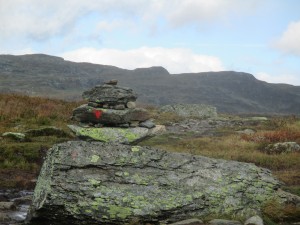 1. Etappe von Haukeliseter nach Hellevassbu