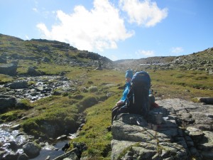 2016-09-12-12-04-37-HARDANGERVIDDA