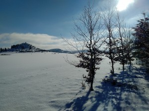 2017-01-06 13-07-00 SALMENDINGEN KORNBÜHL Schneeschuhwandern