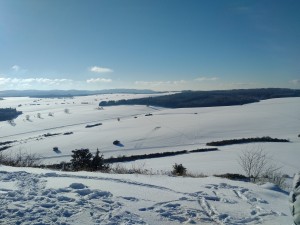 2017-01-06 14-20-11 SALMENDINGEN KORNBÜHL Schneeschuhwandern