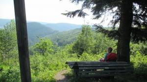 2017-06-03 07-49-24 SEENSTEIG