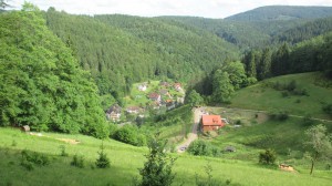 2017-06-04 16-47-48 SEENSTEIG