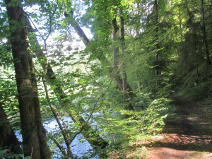 KLOSTERFELSENWEG Schwäbische Alb 2016-07-30 11-25-13