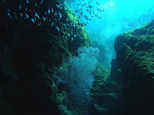 SARDINIEN Tauchen 2012-01-03 01-00-42